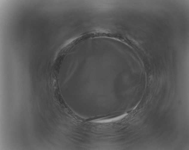 X0000059851303200511041829