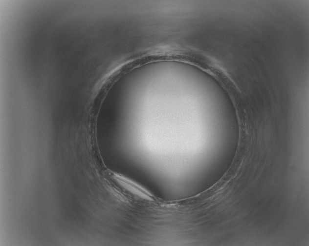 X0000059851304200511041829