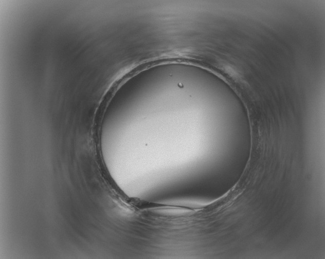 X0000059851308200511041829