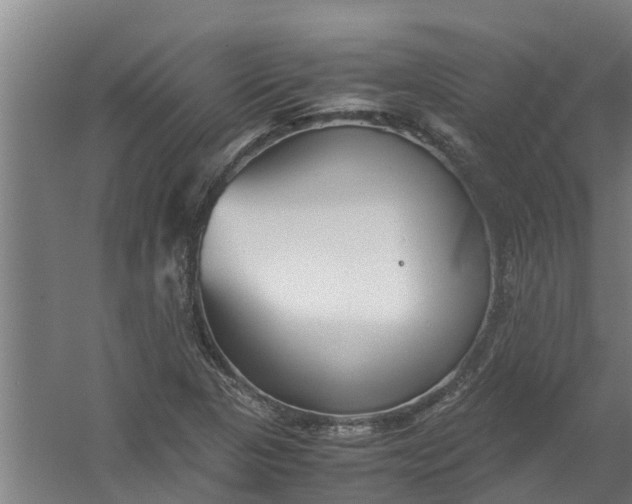 X0000059851313200511041829