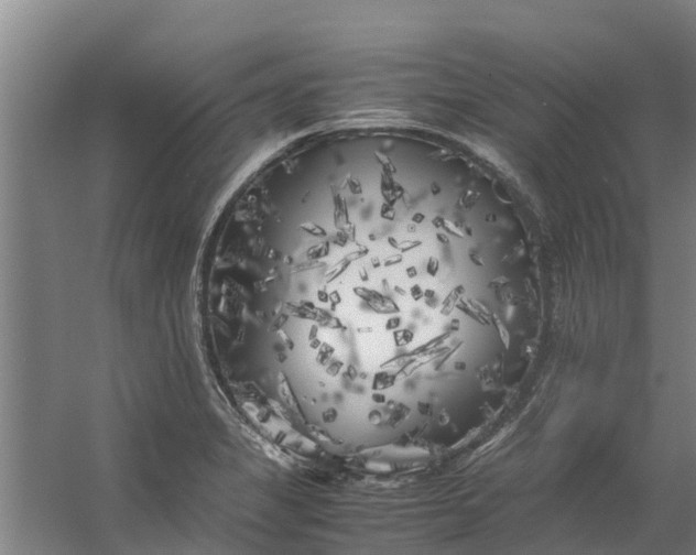 X0000059851325200511041829