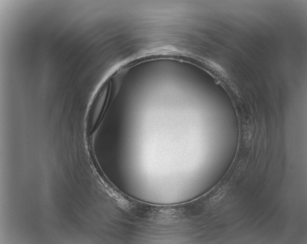 X0000059851326200511041829