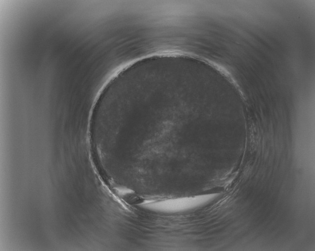 X0000059851327200511041829