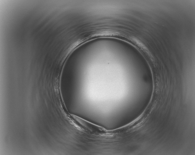 X0000059851329200511041829