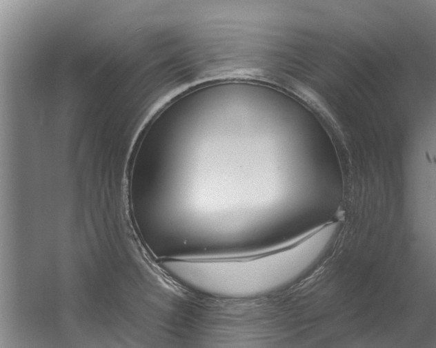 X0000059851332200511041829