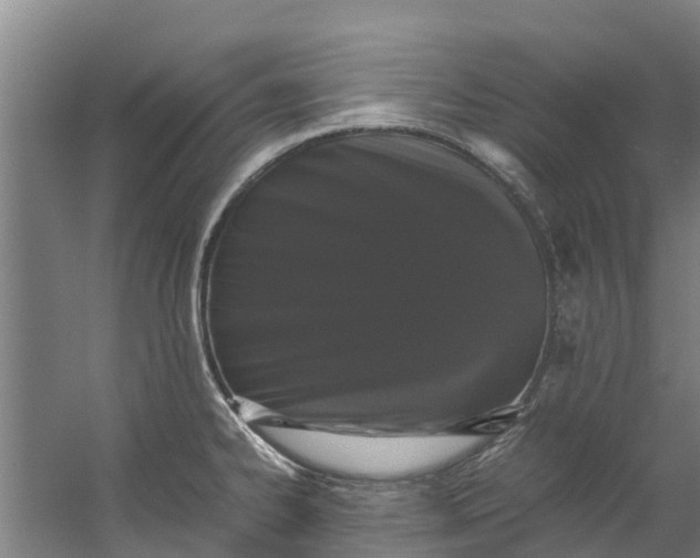 X0000059851334200511041829