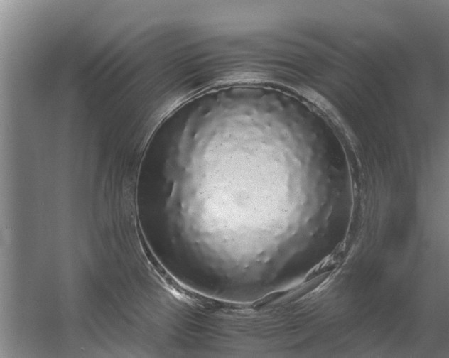 X0000059851337200511041829