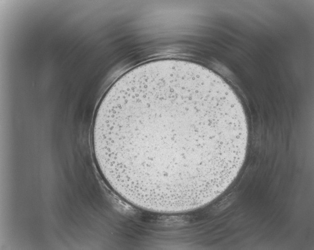 X0000059851338200511041829