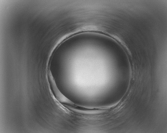 X0000059851342200511041829