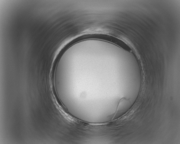 X0000059851344200511041829