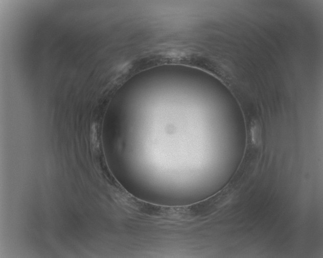 X0000059851347200511041829