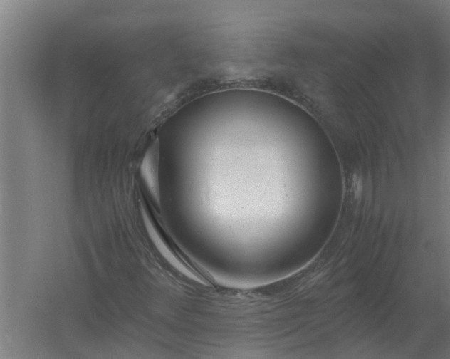 X0000059851348200511041829