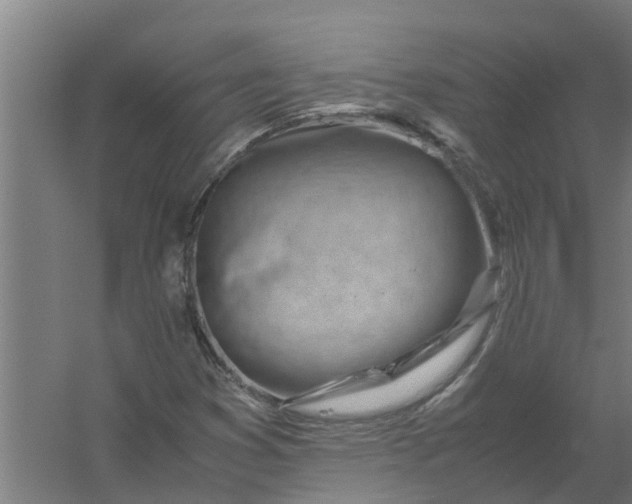 X0000059851353200511041828