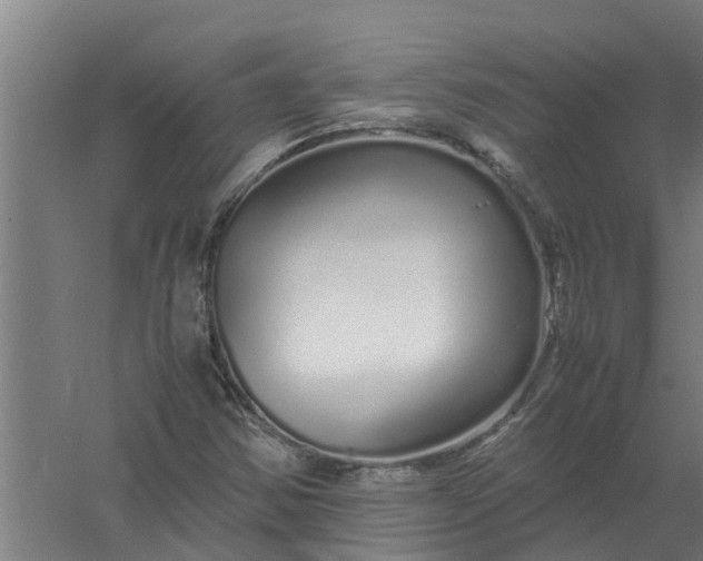 X0000059851354200511041828