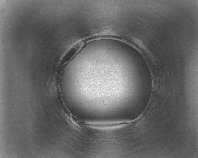 X0000059851356200511041828