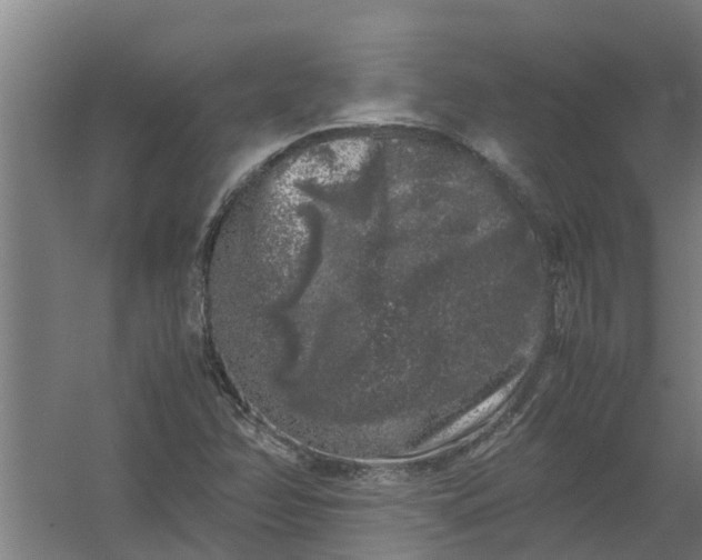 X0000059851358200511041828