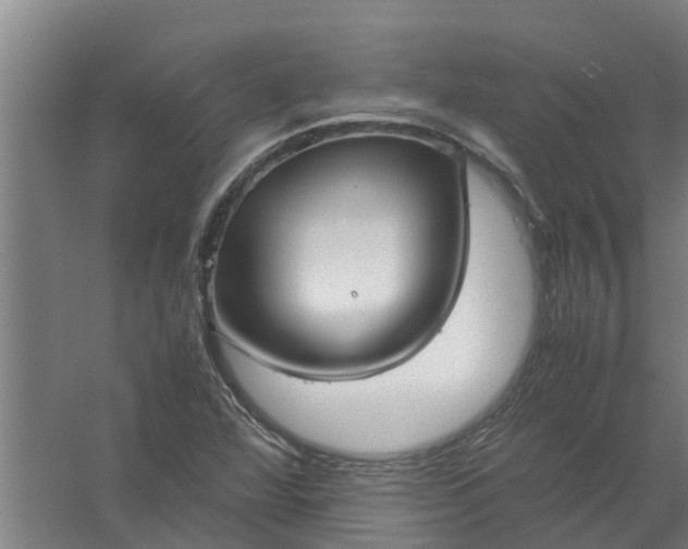 X0000059851360200511041828