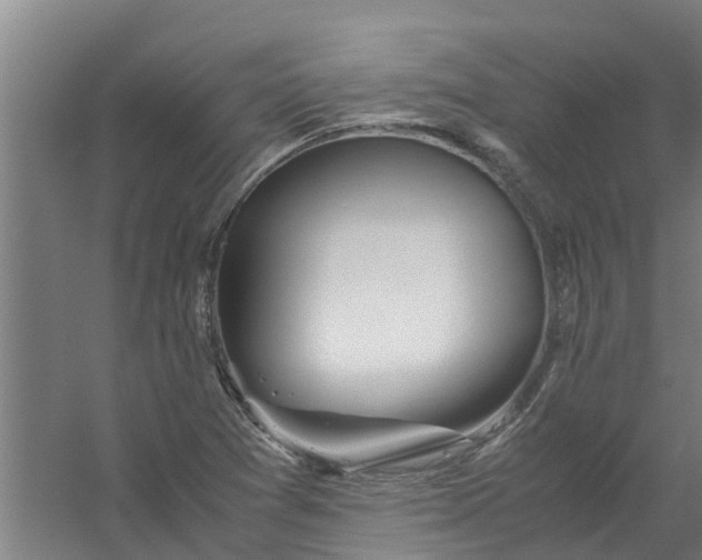 X0000059851361200511041828