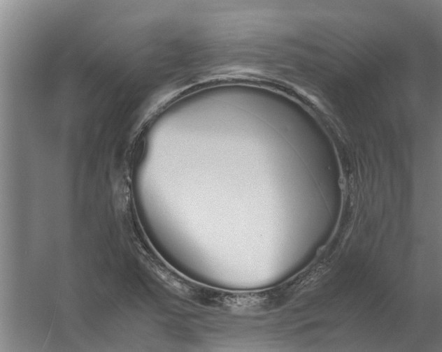 X0000059851363200511041828