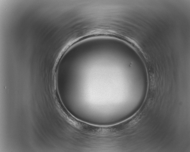 X0000059851371200511041828