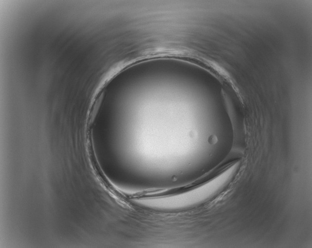 X0000059851373200511041828