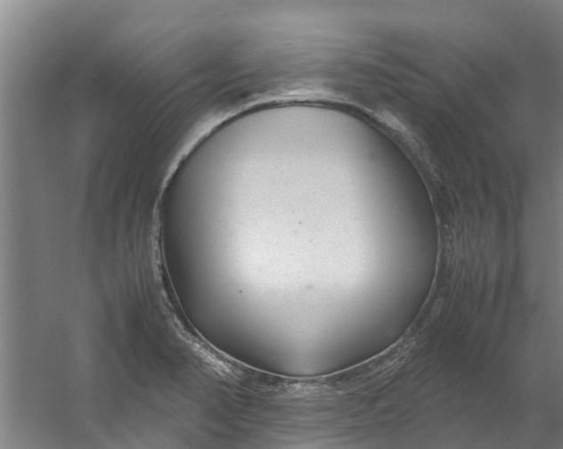 X0000059851374200511041828