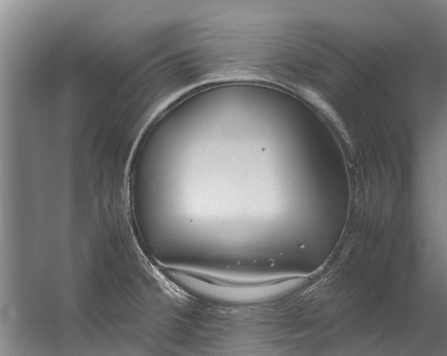 X0000059851380200511041828