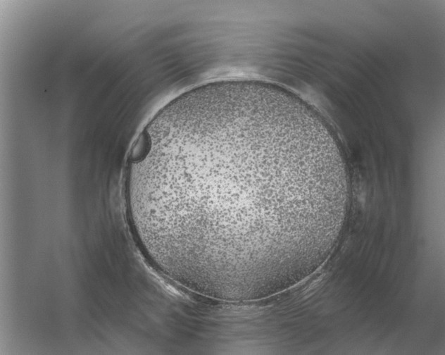 X0000059851382200511041828