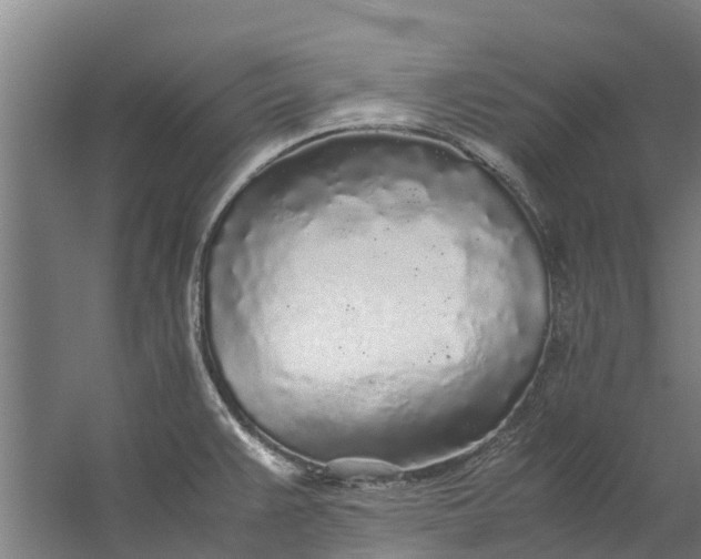 X0000059851383200511041828