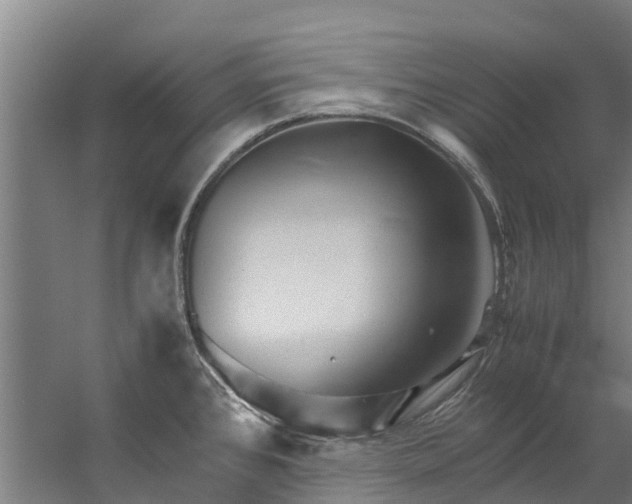 X0000059851384200511041828