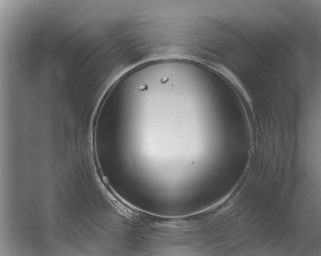 X0000059851388200511041828