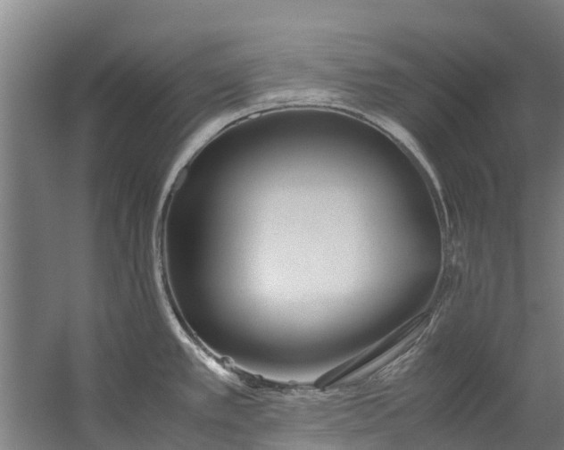 X0000059851389200511041828