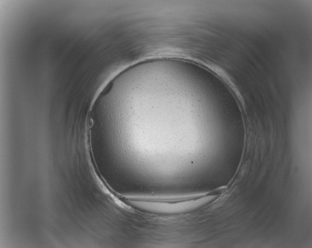 X0000059851390200511041828