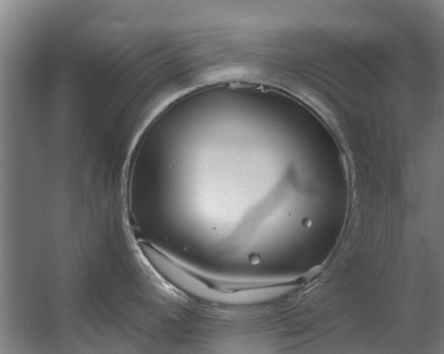 X0000059851392200511041828