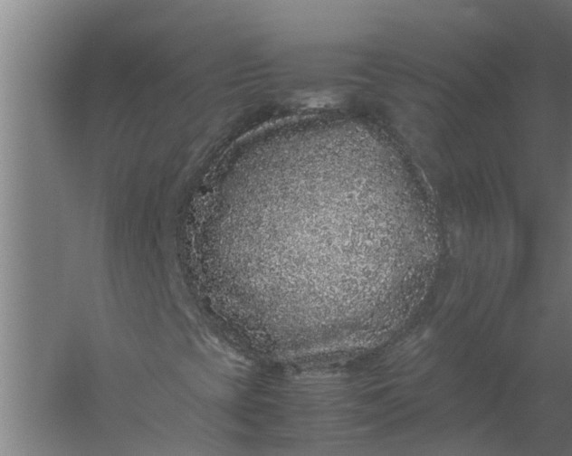 X0000059851393200511041827