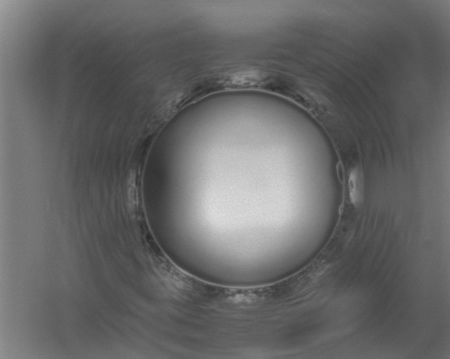 X0000059851395200511041827