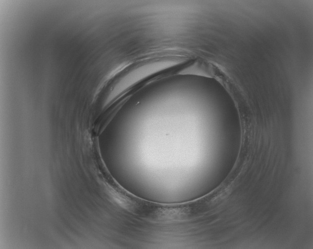 X0000059851402200511041827