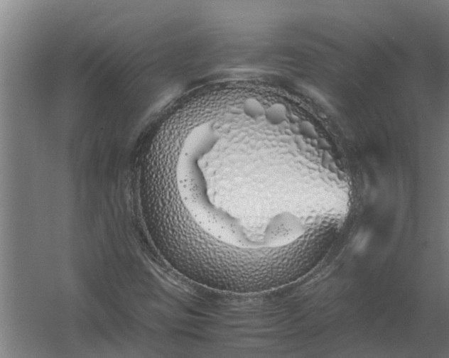 X0000059851403200511041827