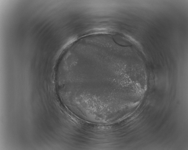 X0000059851411200511041827