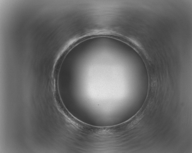 X0000059851414200511041827