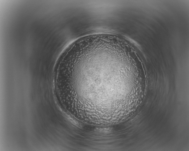 X0000059851415200511041827