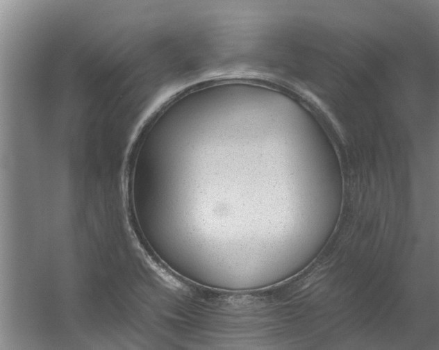 X0000059851416200511041827