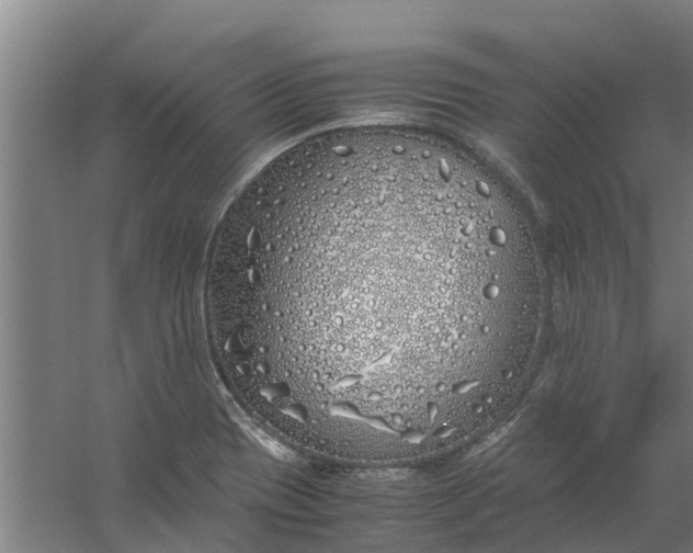 X0000059851417200511041827