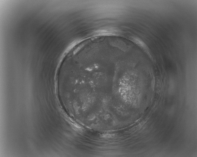 X0000059851419200511041827