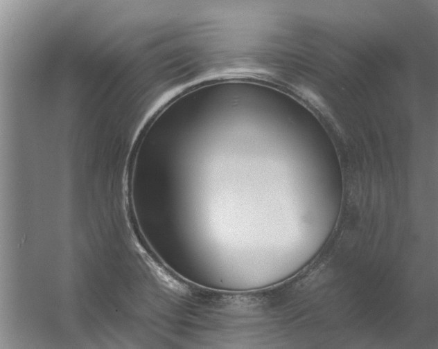 X0000059851420200511041827