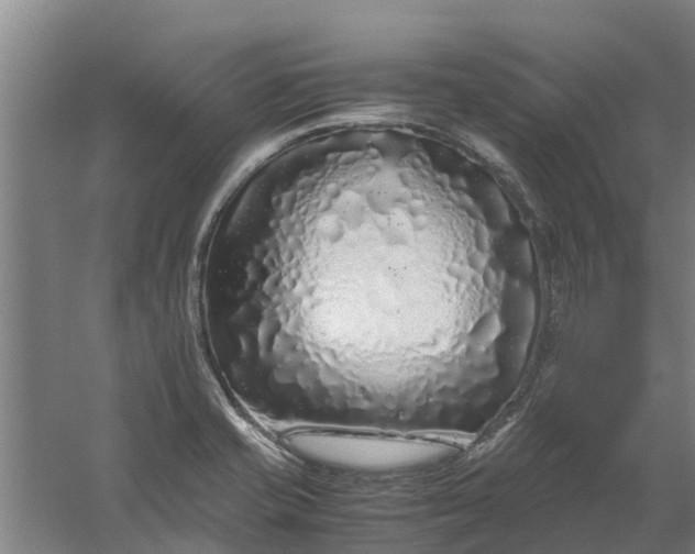 X0000059851421200511041827