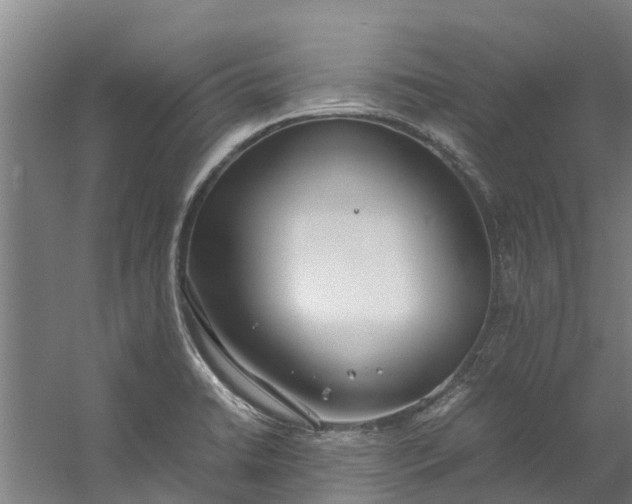 X0000059851422200511041827