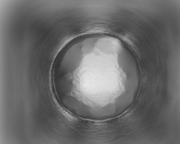 X0000059851423200511041827