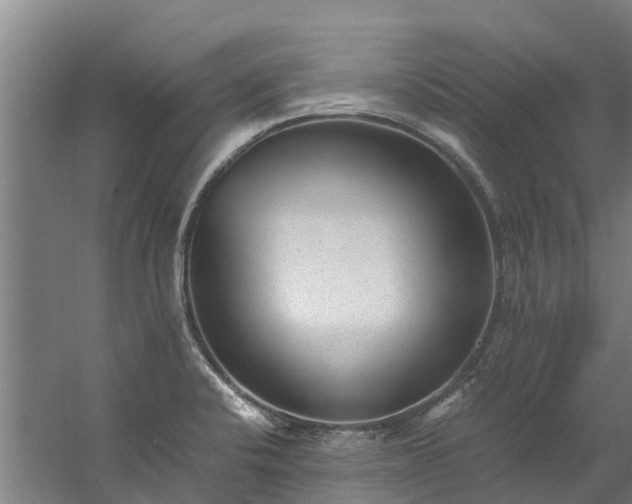 X0000059851424200511041827