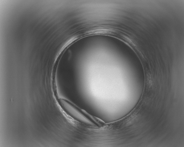 X0000059851426200511041827